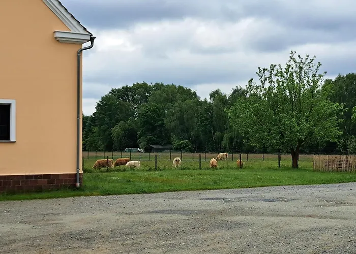 Apartament Am Kromlau